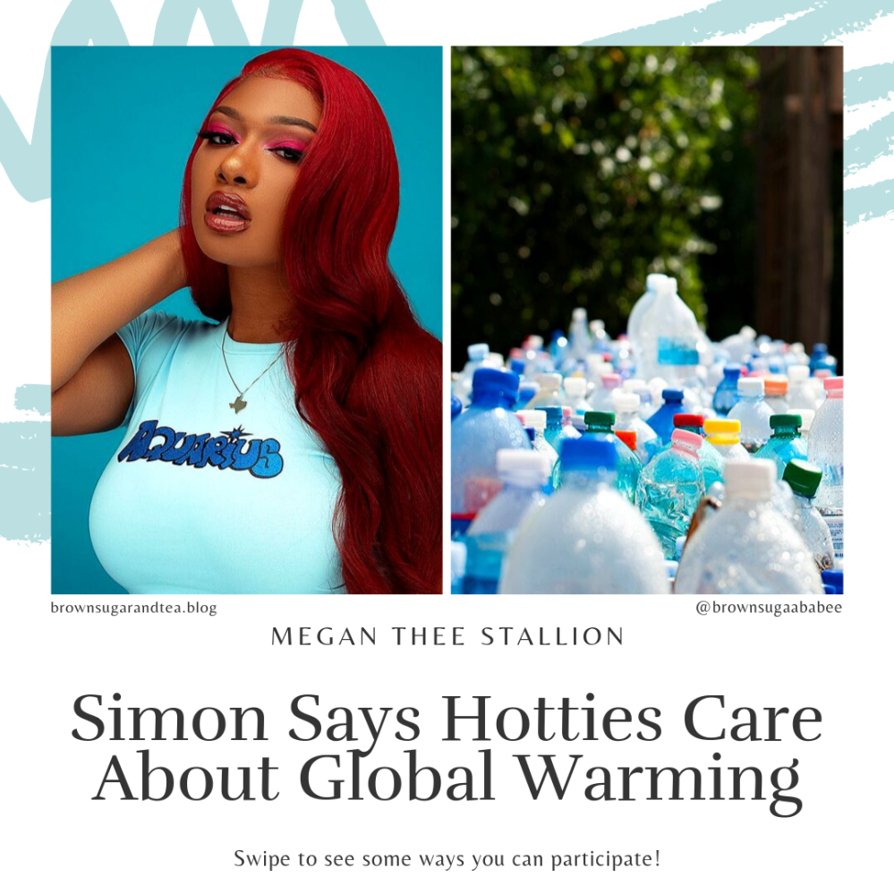 Hotties Global Warming Campaign.png